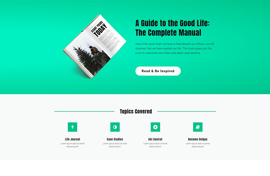 Free Elementor Template Landing Page for an Manual Ebook